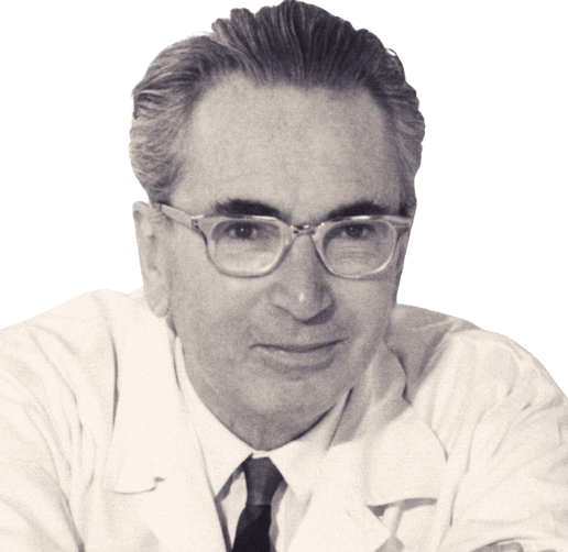 Frankl 516x502