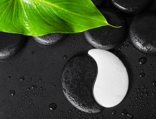 Yin – Yang Nedir?