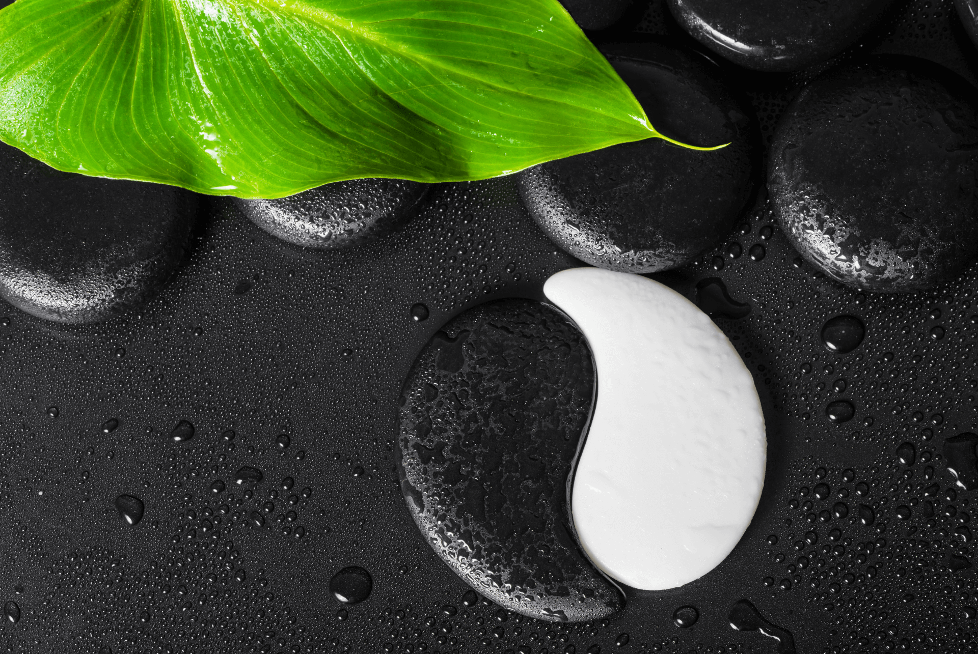 Yin Yang Featured Photo